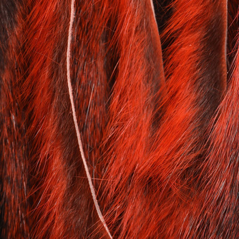 Hareline Complete Micro Stripped Pine Squirrel Hide