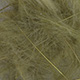 FFGene CDC Feathers color 1 gr