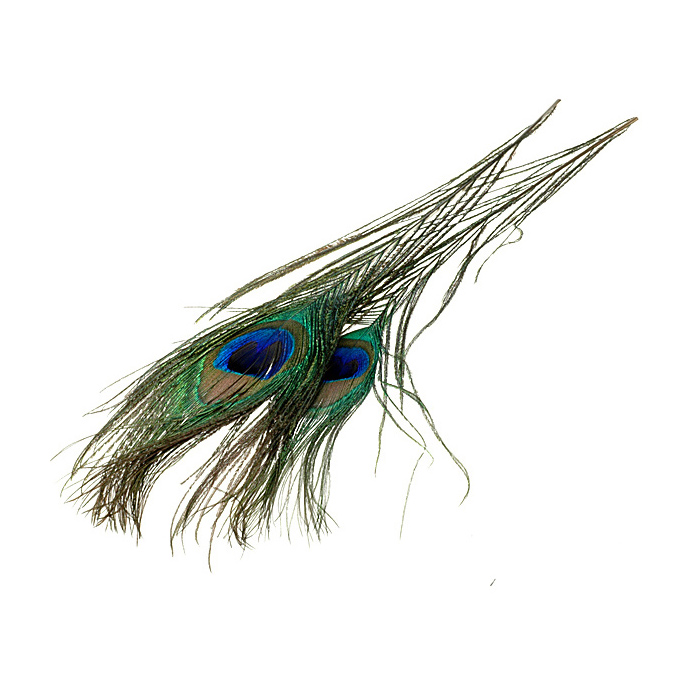 FFGene Peacocks eyes - Two pieces