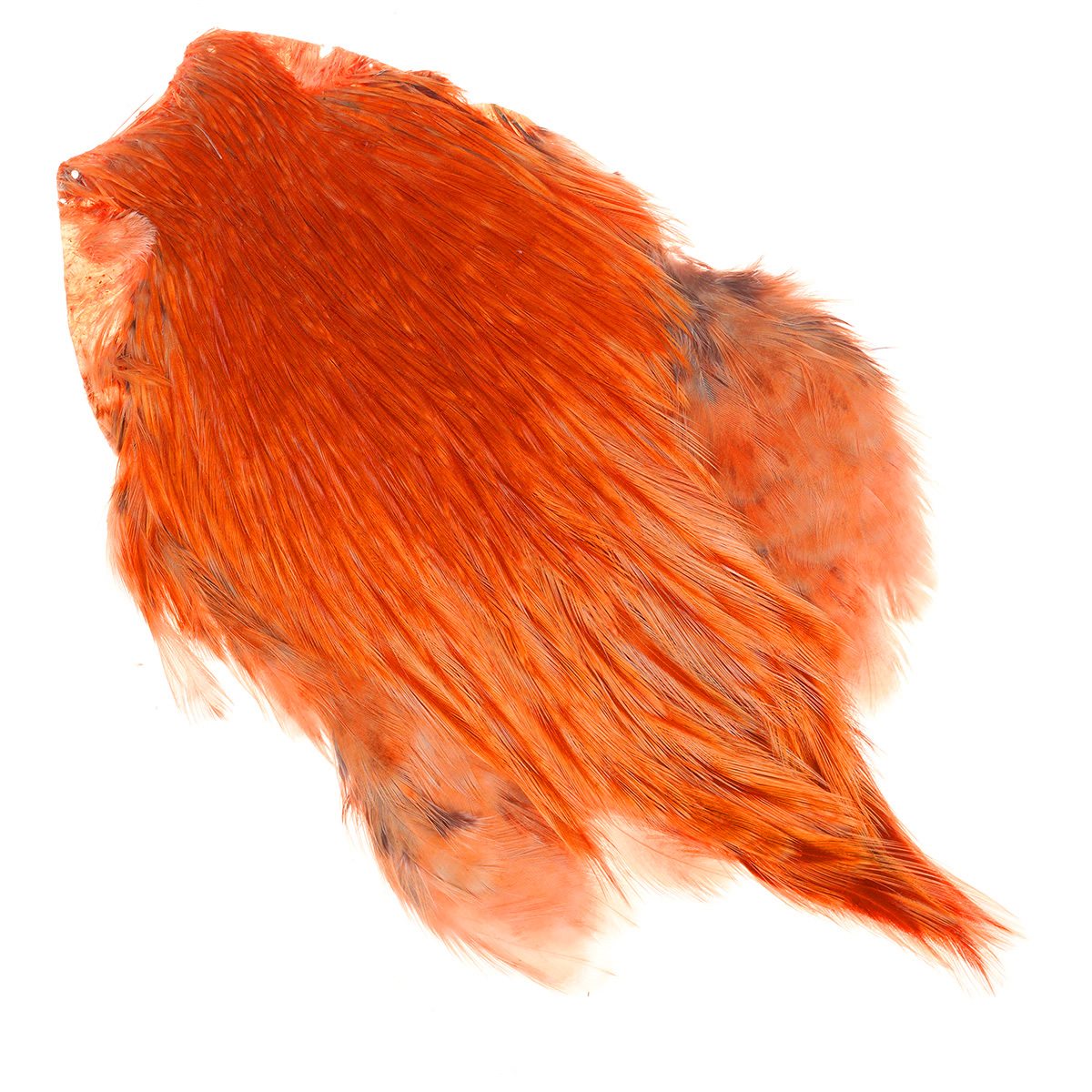 India Cock Capes Color