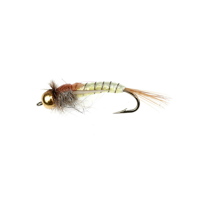 Tung. BH PL Wowen Stone Fly Yellow (308)