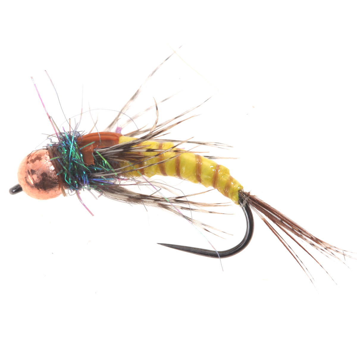 Yellow Ribbed Brown Nymph