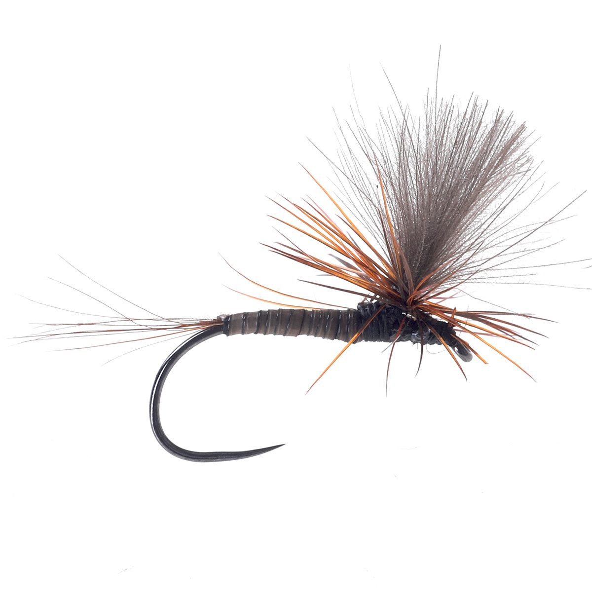 Parachute Quill Body Brown Hackle