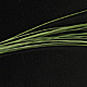 Hareline Quill Body