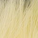 FFGene Extra Large Marabou (Blood Quill) (12-15cm)