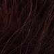 Taimen XXL Marabou (Blood Quill) (+15 cm)