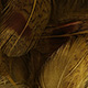 Hareline Hungarian Partridge Feathers